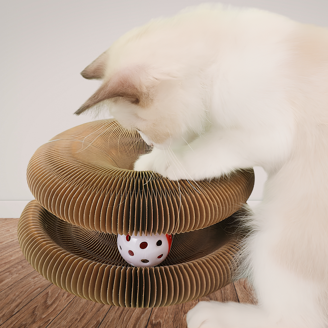 PurrLoop™