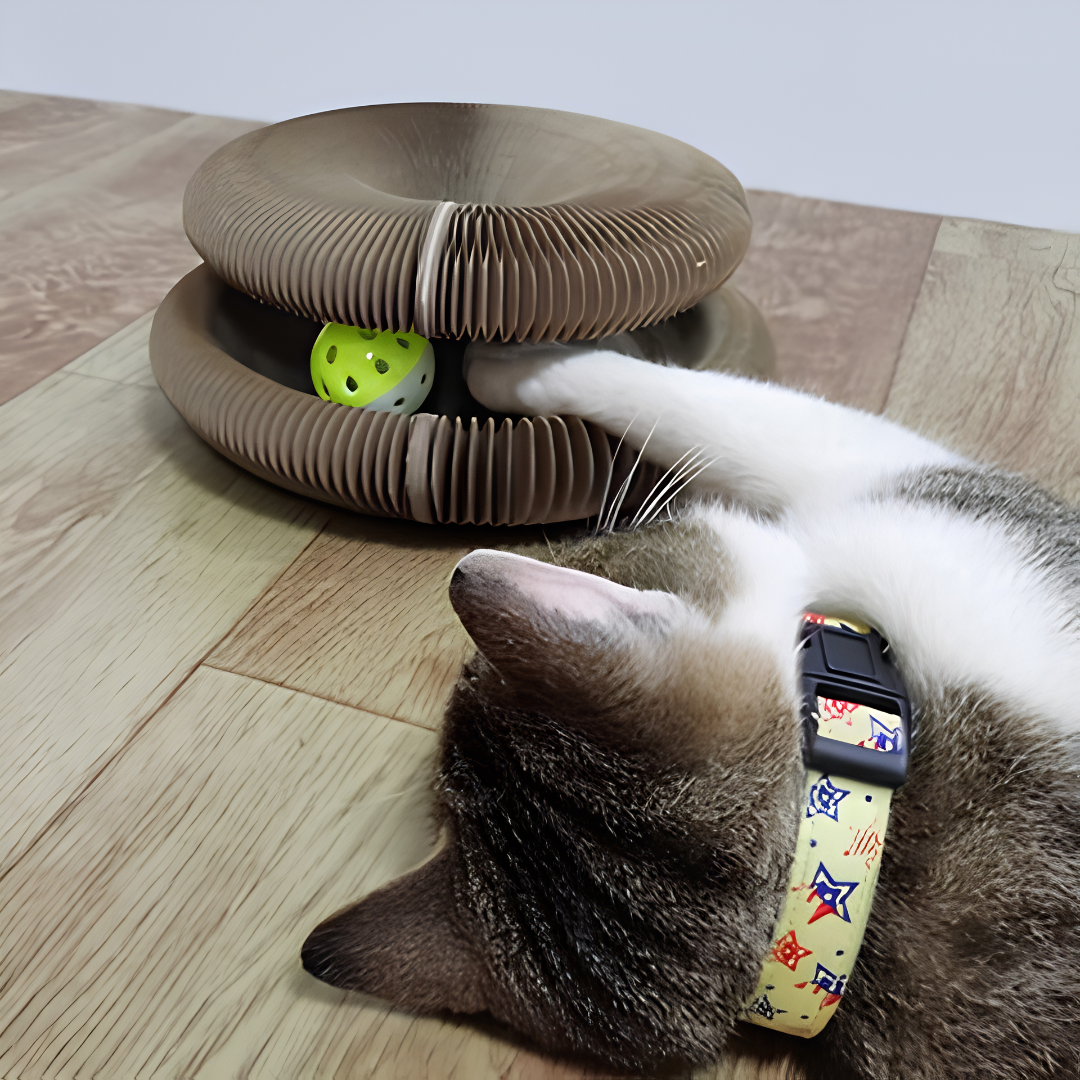 PurrLoop™