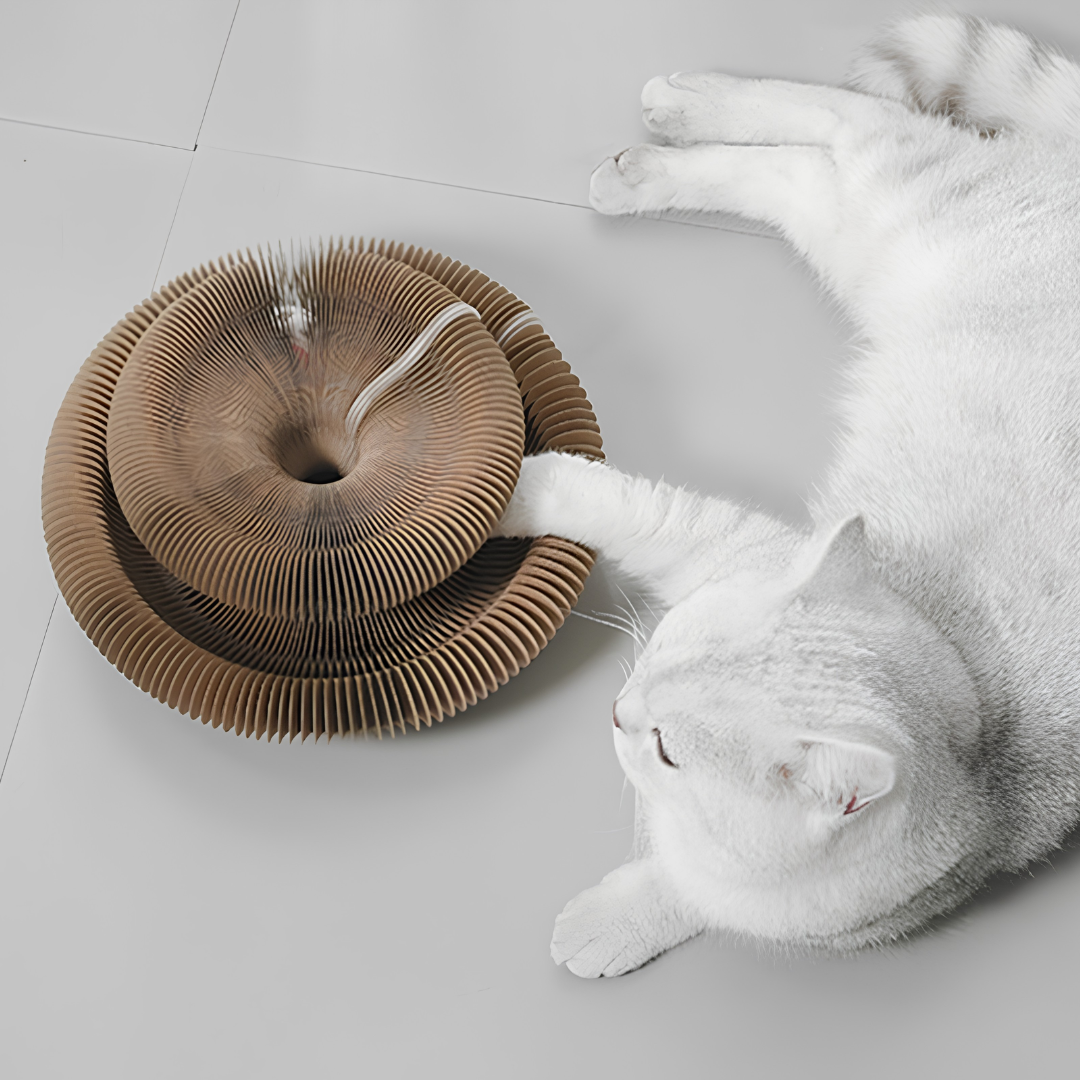 PurrLoop™