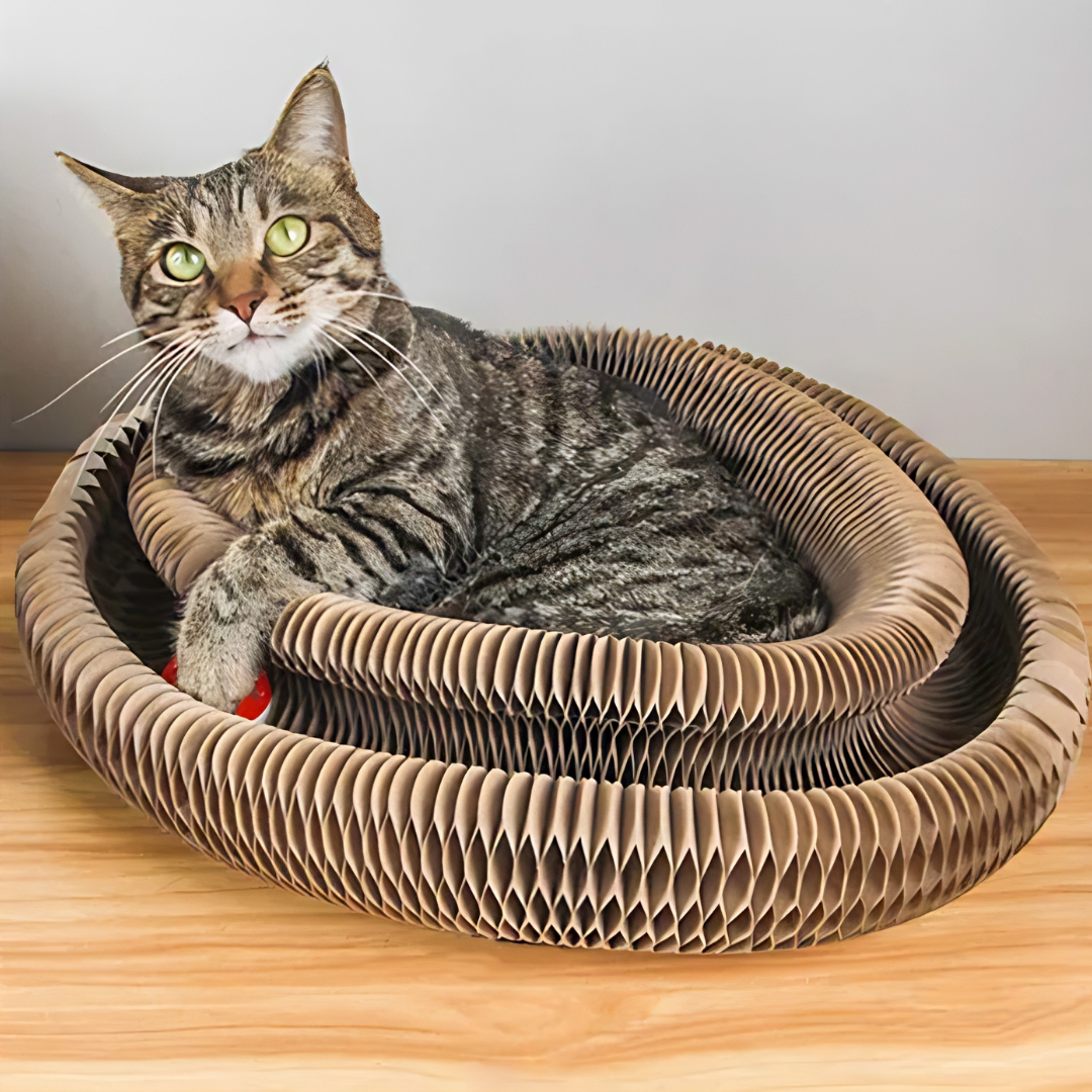 PurrLoop™